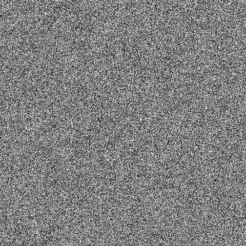 Noise